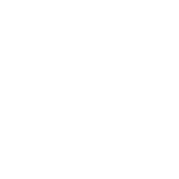 Chatbot Icon